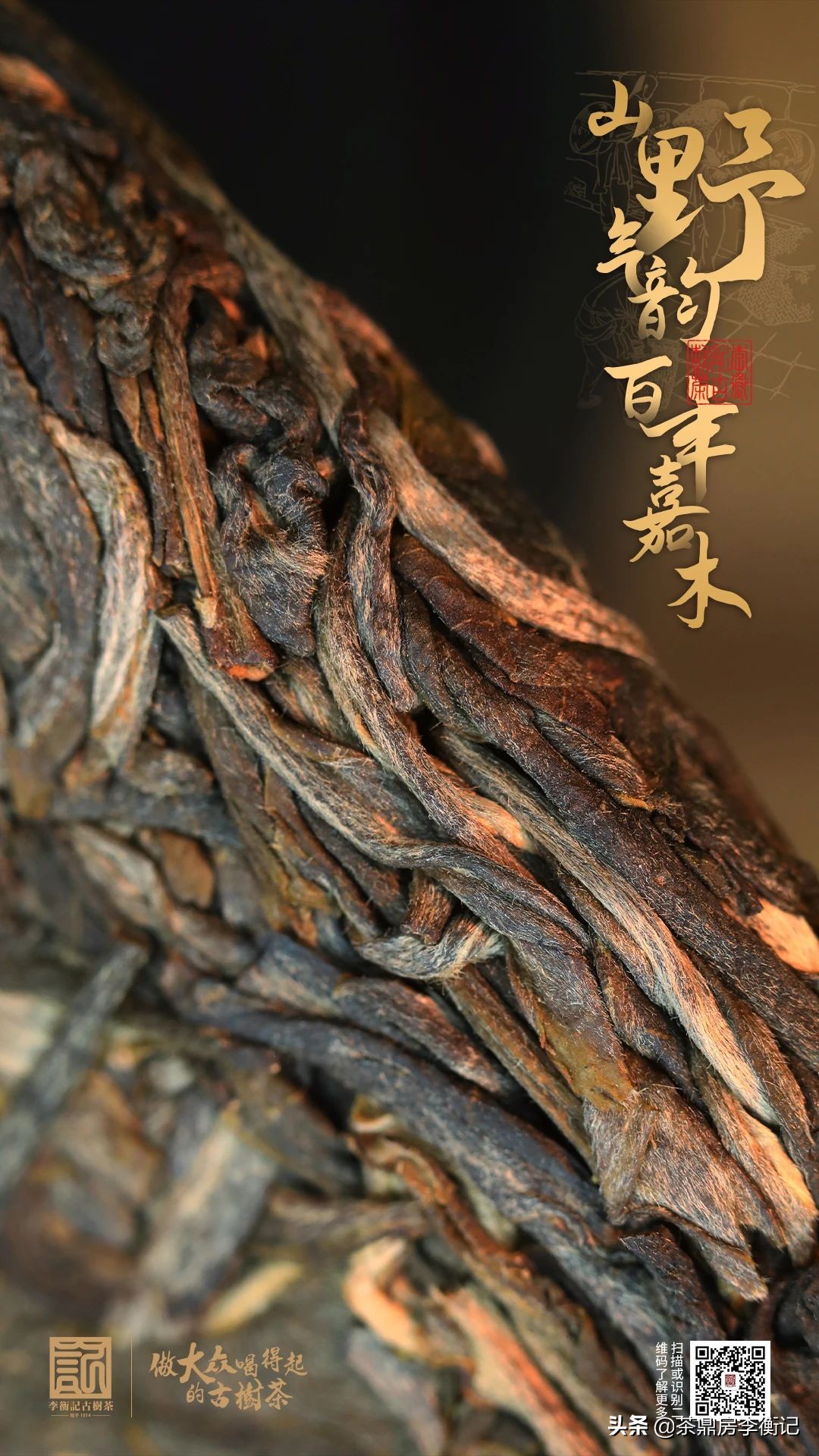 南糯山古树熟普洱茶,南糯山500年单株古树普洱茶