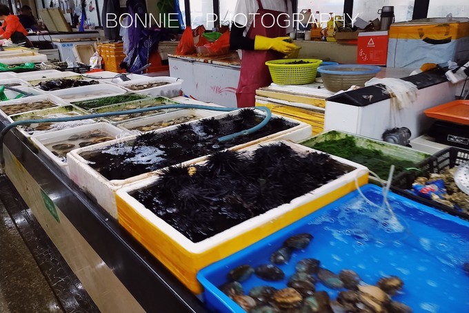 嵊泗列岛三天三夜自由行攻略 (嵊泗本岛三天两夜自由行攻略住宿)