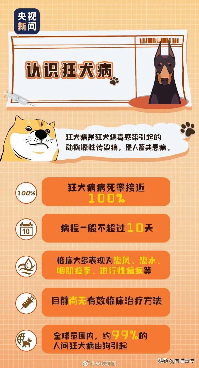 建国后有被猫抓伤得狂犬病的吗,不小心被猫抓伤了要打疫苗吗