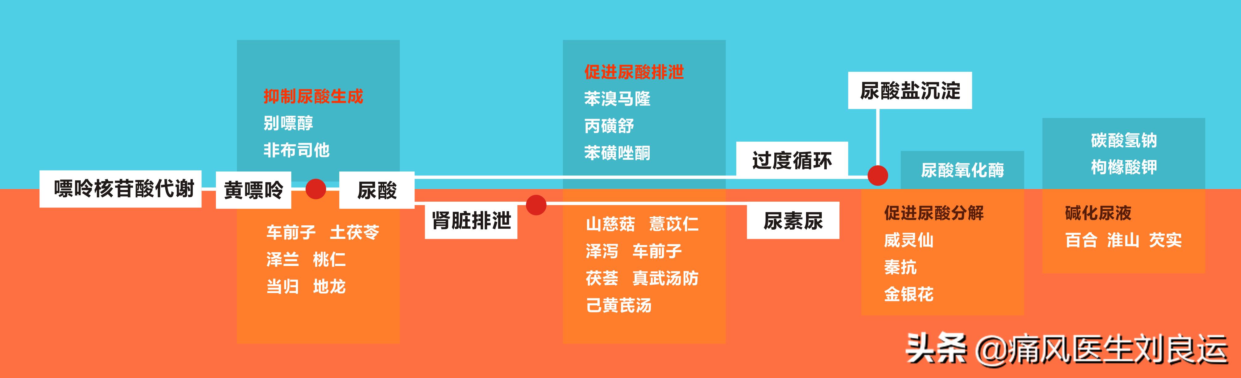 痛风灵胶囊专治一切,痛风灵不起作用