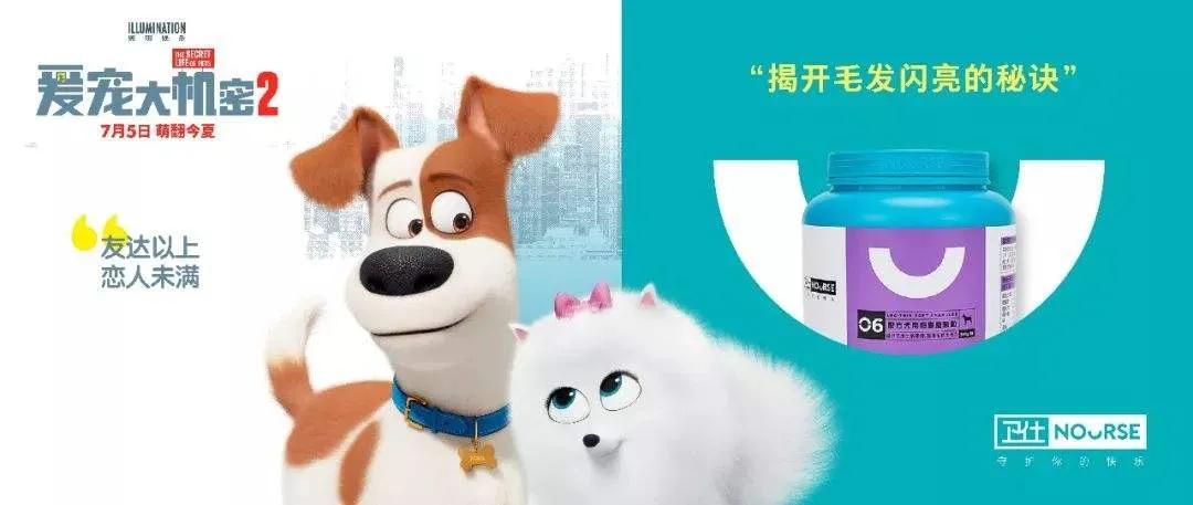 隐藏在爆火背后,是16年专研宠物营养的匠心精神|大咖对话