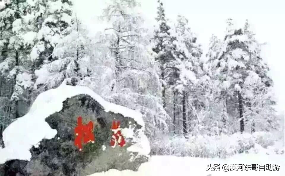 漠河旅游团暑假,漠河雪乡旅游小团