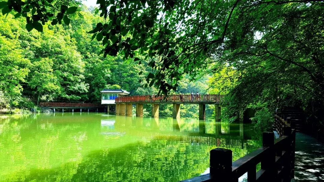 【招标公告】洛阳白云山旅游度假区农副产品统一采购招标!