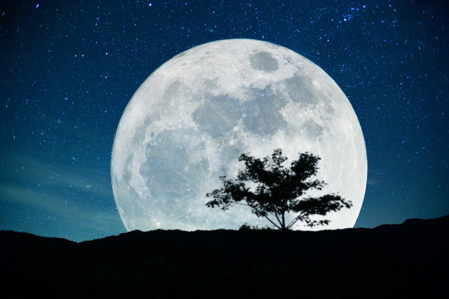 《抱朴子·内篇》快来读读噢,诺贝尔奖都是从这里找到灵感噢