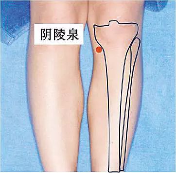 我的痘痘为什么长在背上,背上长了好多痘痘