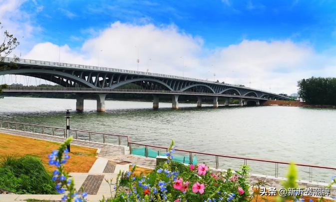 白云飞动蔚蓝天解析,白云飞动蔚蓝天出自哪首诗