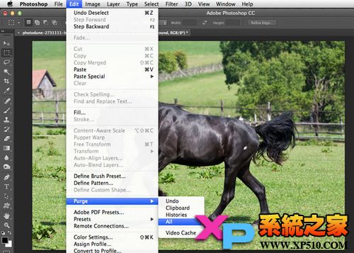 adobereader停止工作怎么解决,ps打开文件太多卡死怎么恢复