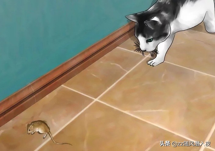 驱逐老鼠最好的办法,怎么样驱逐家里的老鼠