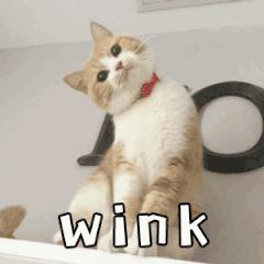 换季烂脸水乳,会烂脸的水乳