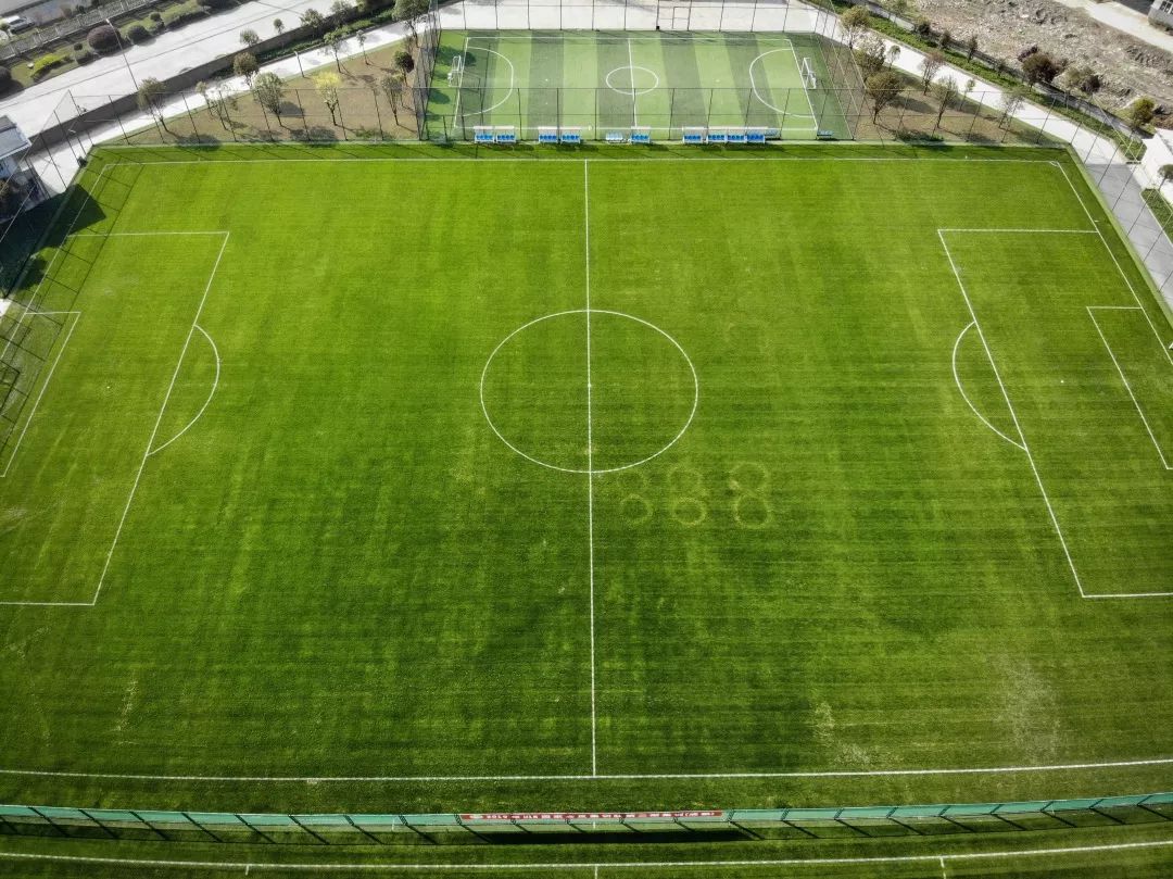 2023年熊猫夏令营,2019熊猫夏令营