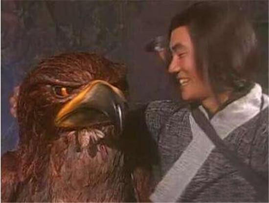 各版神雕侠侣中的大雕,神雕里面的雕结局