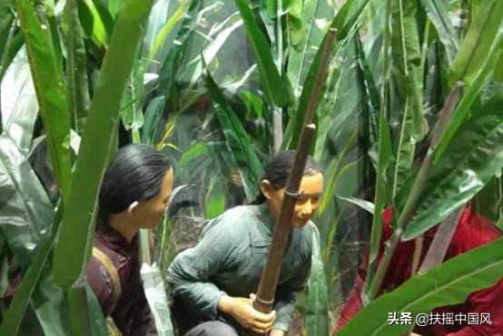 游遍山东各个城市,游遍胶东