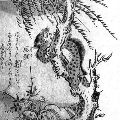 太岁真的是能吃吗,太岁吃了能治胃病吗