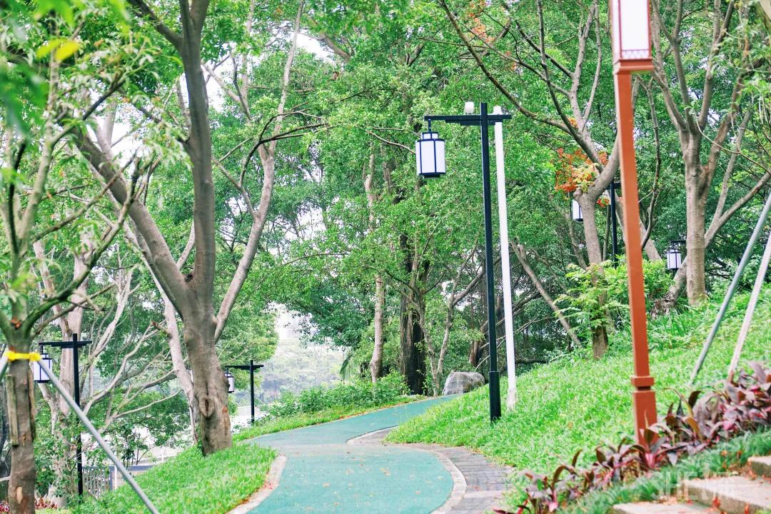 深圳八大绝美公园,山水公园深圳