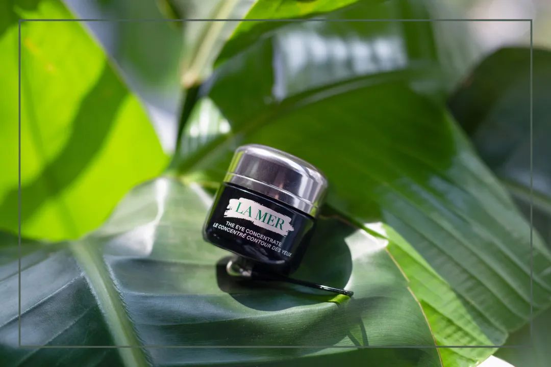 11款热门眼霜合集|保湿、紧致、去眼纹到底该怎么选？