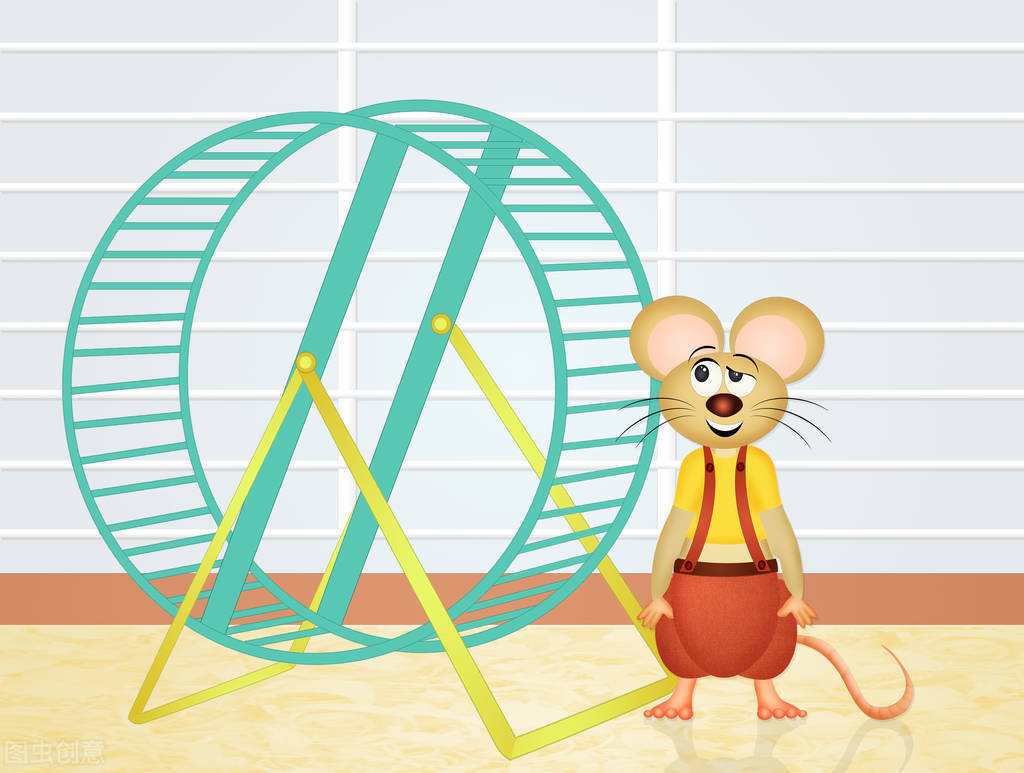 仓鼠爱吃什么仓鼠零食和水果,宠物仓鼠爱吃的食物有哪些