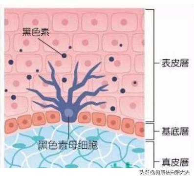 小伙的“悲哀”：春风得意马蹄疾，一日晒出『白癜风』