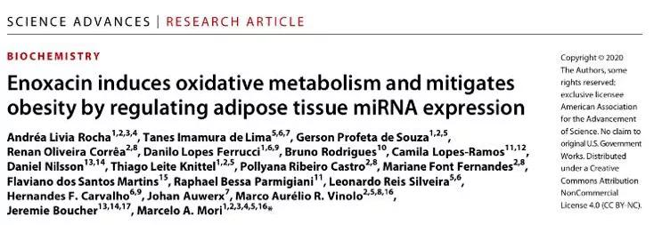 这种抗生素或可成为一种减肥新药