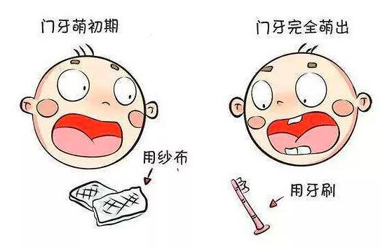 为什么现在的小孩子容易长蛀牙,经常吃糖的小孩蛀牙会成什么样