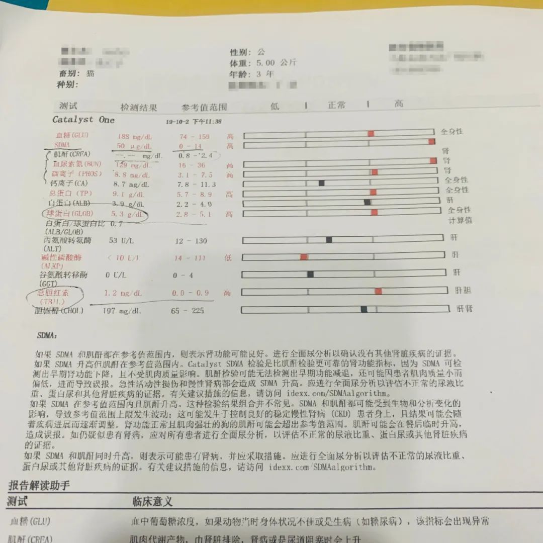 小佩宠物饮水机漏水,小佩饮水机漏电对宠物有害吗