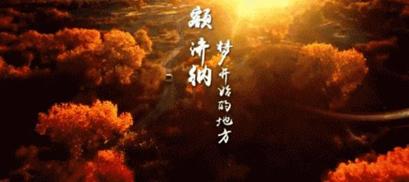 额济纳旅游自由行攻略,额济纳旗旅游最佳省钱攻略