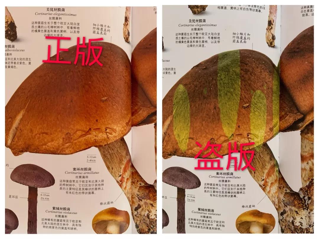 买到盗版书已经写东西了怎么办,买到盗版书了该怎么办