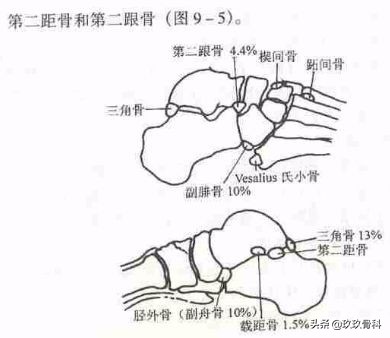 陈旧性踝关节损伤的治疗,踝关节损伤现场处理视频