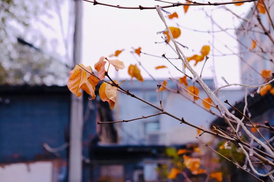 最值得去的小众打卡地,北京小众打卡地荣耀的绝美山顶