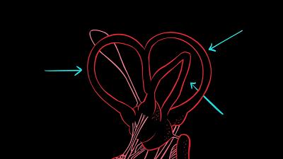 为什么坐汽车会头晕恶心,车里坐久了头痛怎么回事