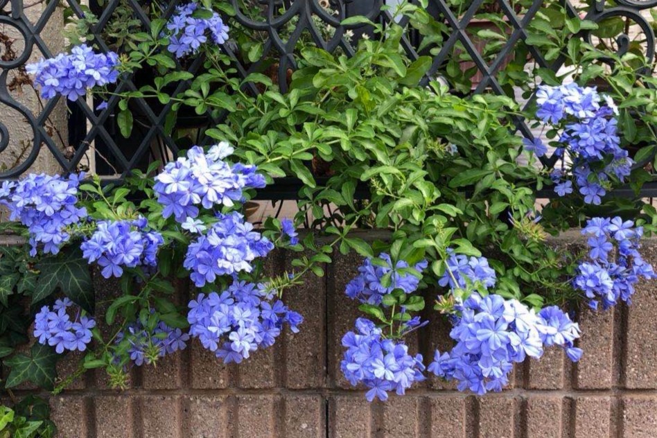 智商与情商的博弈,智商与情商测试方法