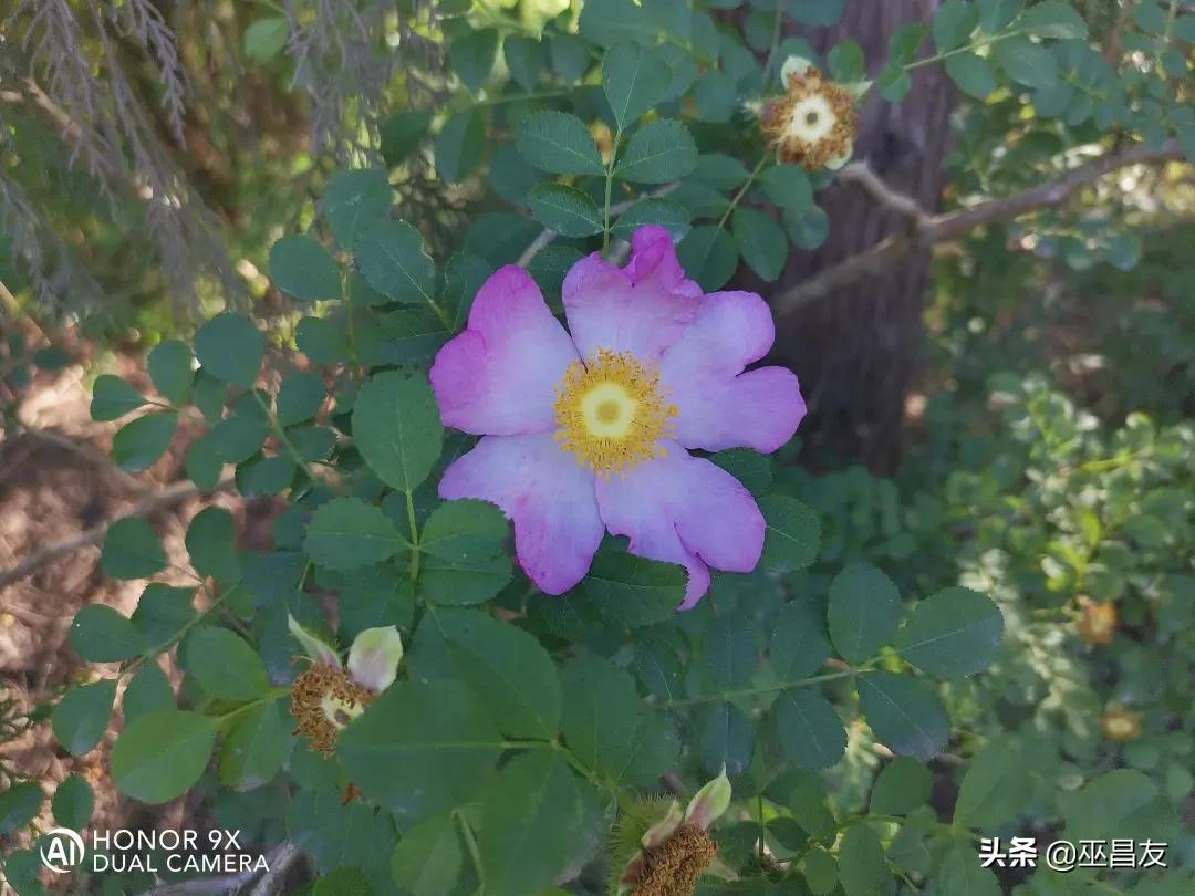 天不怕地不怕就怕潮汕人说普通话,千不怕万不怕就怕四川人讲普通话