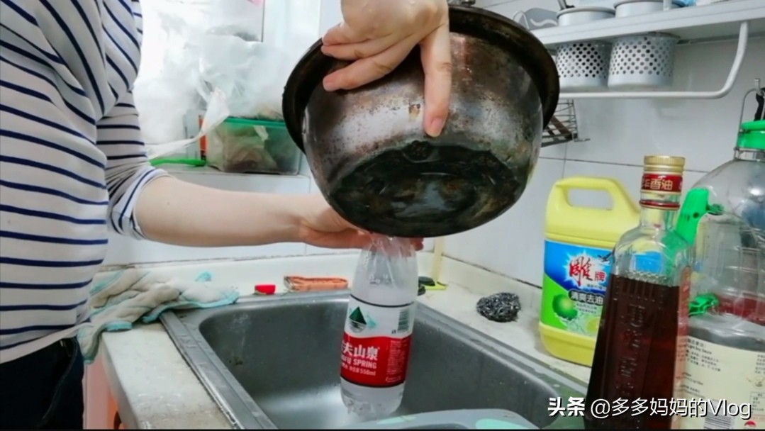 辣椒苗西红柿苗上的蚜虫用什么治,盆栽辣椒长蚜虫怎么办
