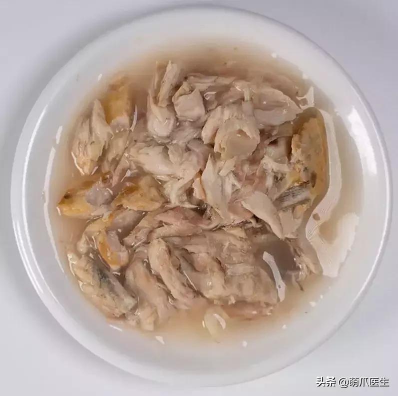 猫咪天天跑去喂鱼,猫咪不吃东西喝汤能喝饱吗