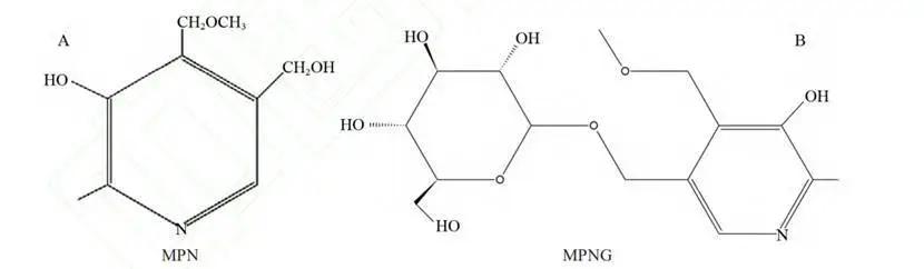 牛柳西芹白果,粤菜芦笋炒黑椒牛柳