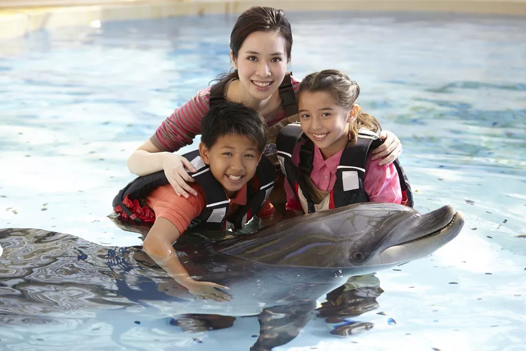 香港海洋公园门票多少钱,香港海洋公园门票票价