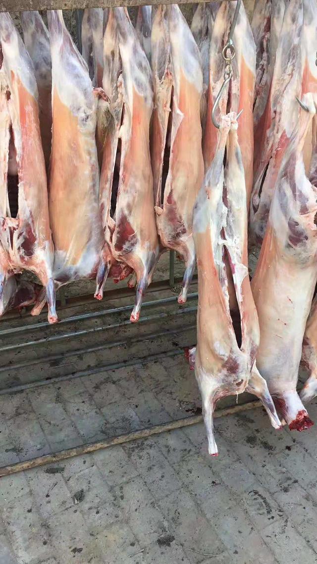 清水县特色美食,清水县美食攻略