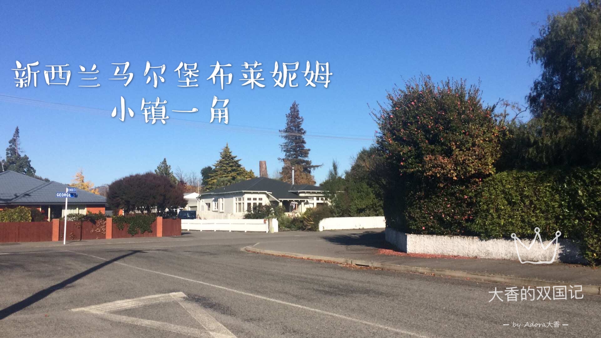 新西兰人怎么看中国人,新西兰人怎么看待毛利人