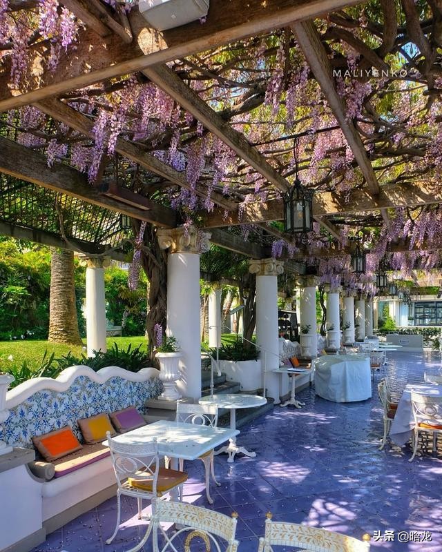 庭院花架搭配这些植物美翻了,庭院花架植物