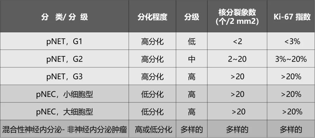 胰腺神经内分泌瘤是什么意思,胰腺神经内分泌瘤的典型ct表现