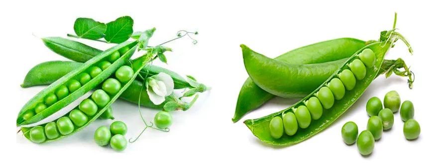 豌豆荚手工画,美术作品豌豆荚创意画小班