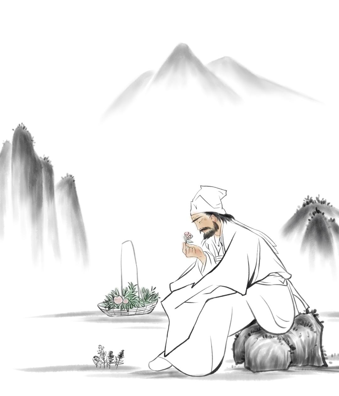 中药半个月是一个疗程吗,中药半月谈紫苏