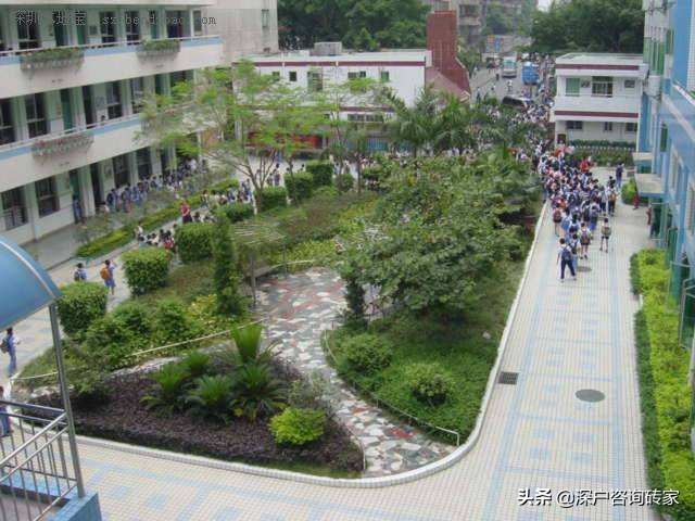 深圳最好的小学是什么,深圳排名前十的小学2019