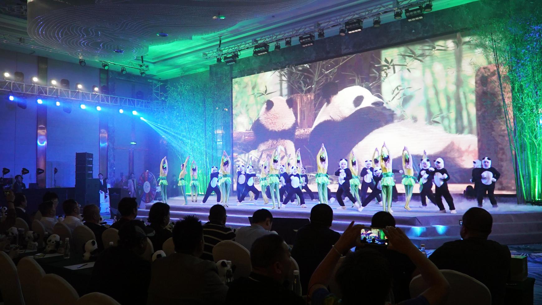 保护大熊猫绘画比赛,大熊猫国际明信片绘画大赛