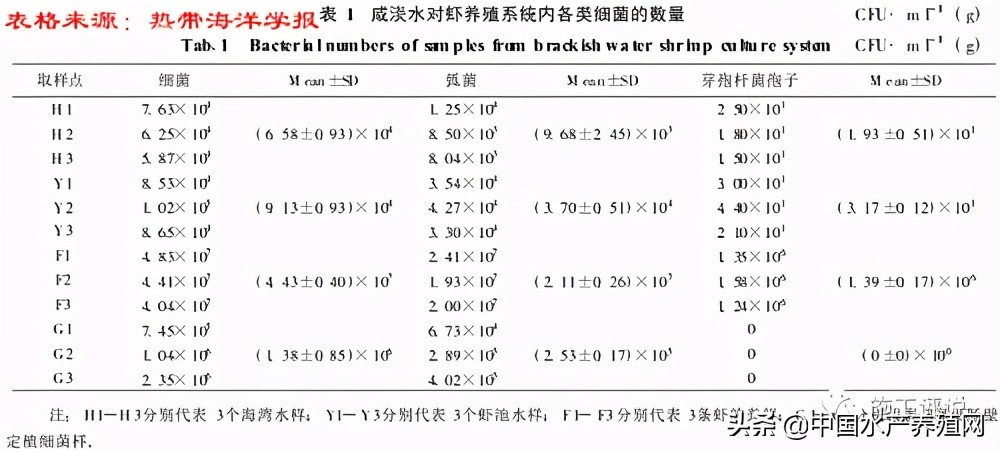 对虾养殖弧菌检测都是黄色小弧菌,对虾弧菌处理的原理是啥