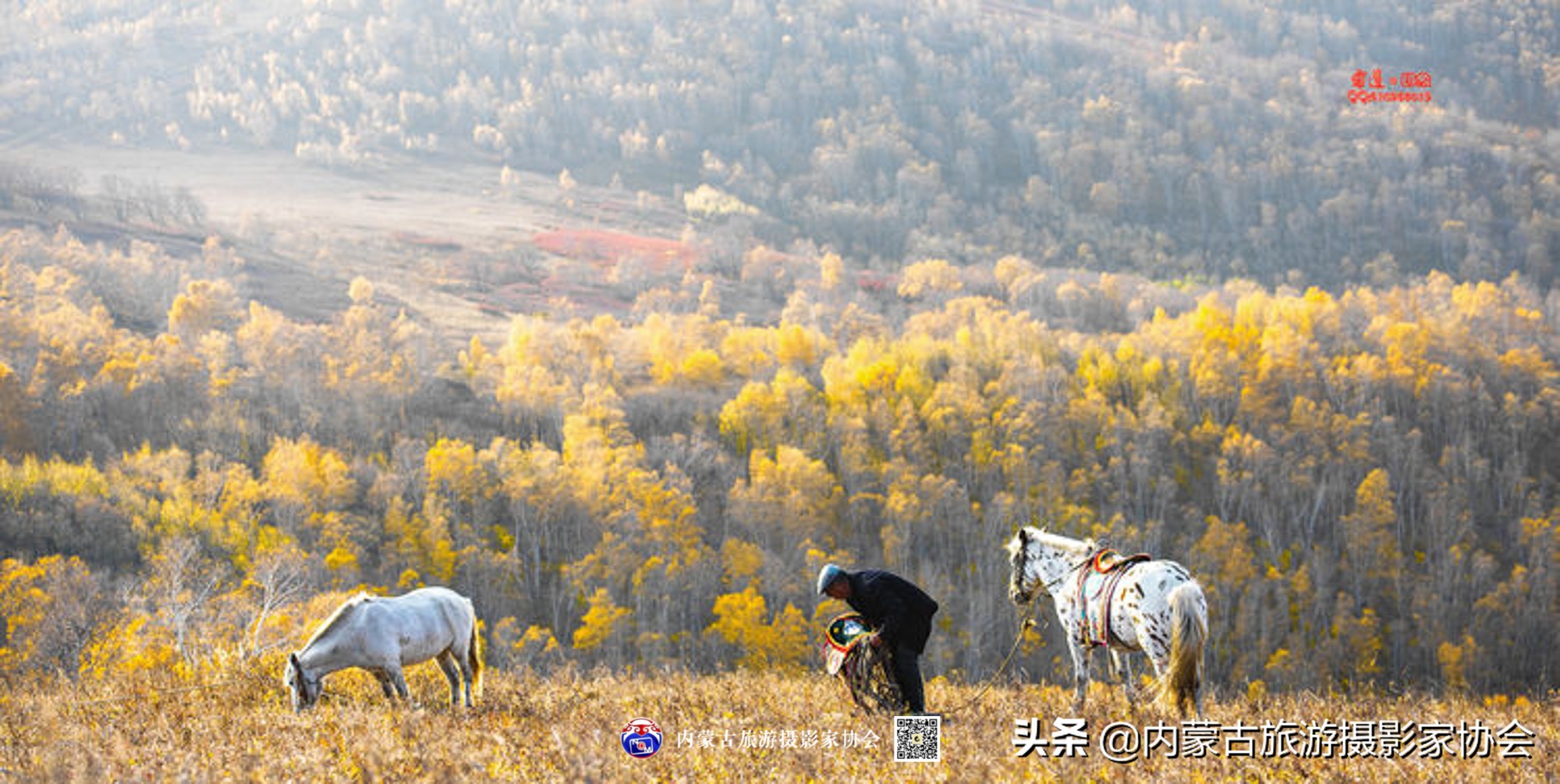 那山那水那滋味,那山那水那份爱