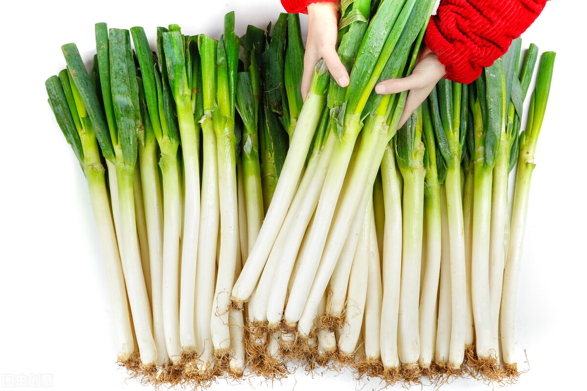 大葱的好坏怎么区分,怎么辨别大葱是否能不能吃