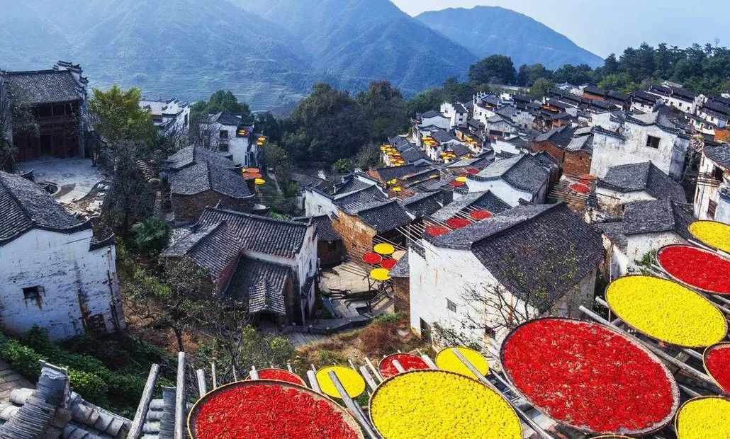 婺源篁岭赏秋,晒秋江西婺源篁岭