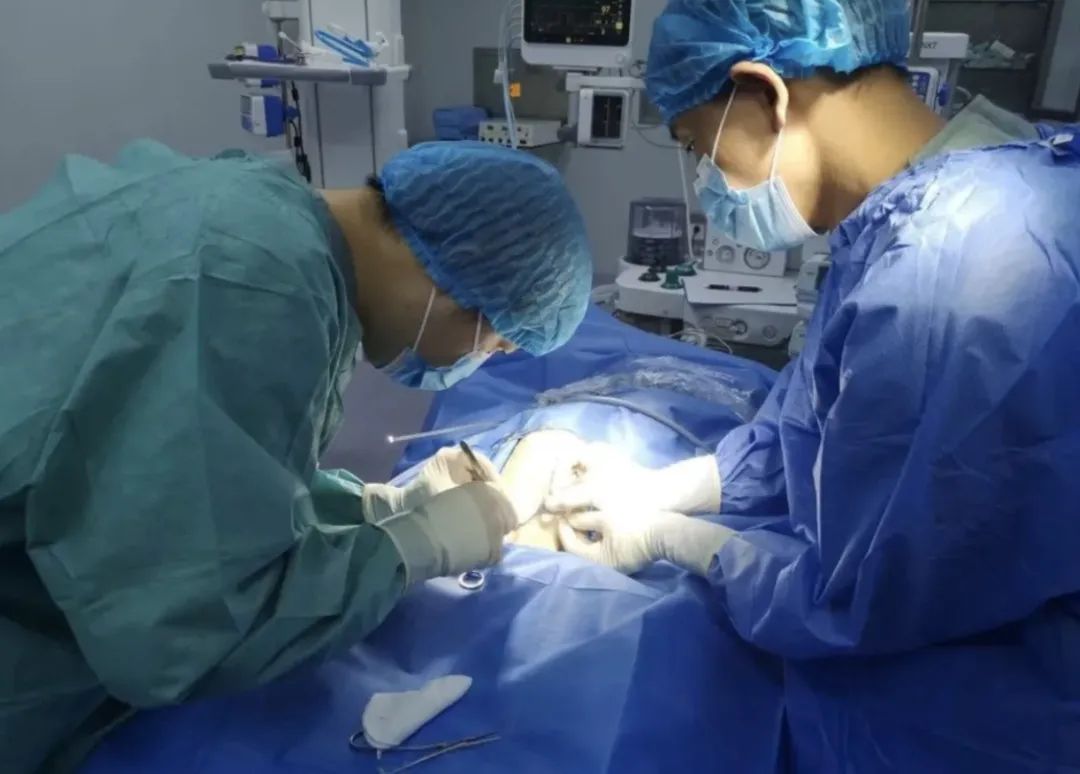 “喵“生绝育大事,腹腔镜下“微”察秋毫,让疼痛降到更低