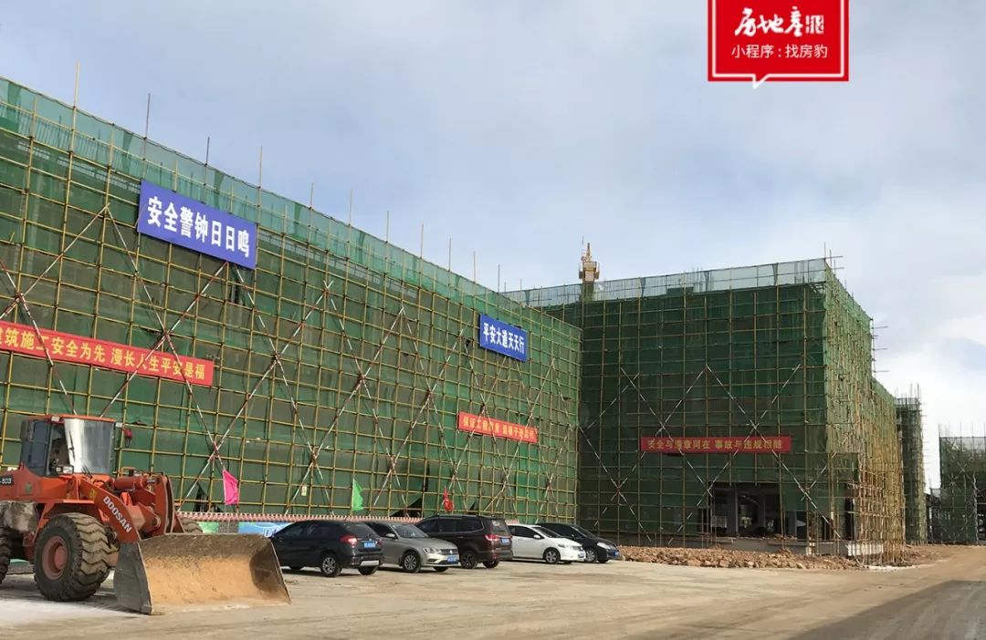 桃李宋卫平,宋卫平的桃李春风