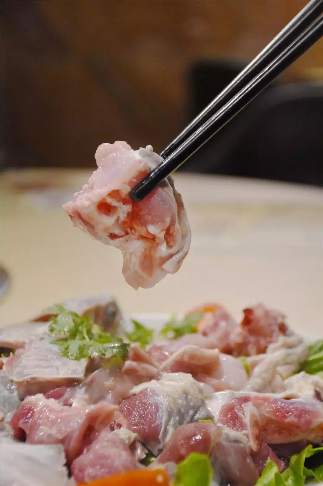 南海里水有间人气爆棚的食府,鳄鱼龟走地鸡煲只需158元!